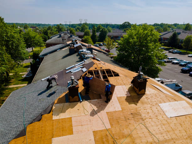 Roof Gutter Cleaning in Mount Prospect, IL