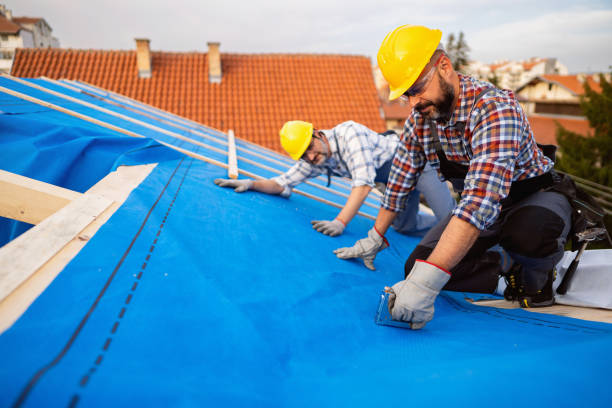Quick and Trustworthy Emergency Roof Repair Services in Mount Prospect, IL