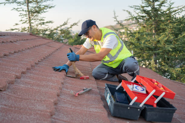 Best Roof Replacement Cost  in Mount Prospect, IL